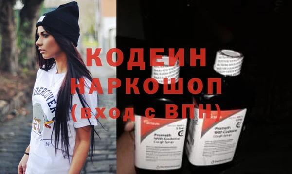 прущие грибы Анжеро-Судженск