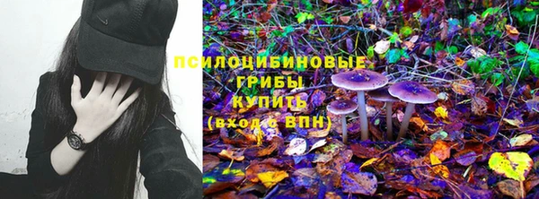 амф Переславль-Залесский