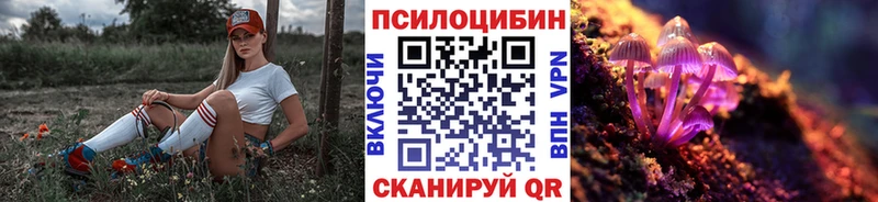 закладка  Волоколамск  omg сайт  Псилоцибиновые грибы MAGIC MUSHROOMS 