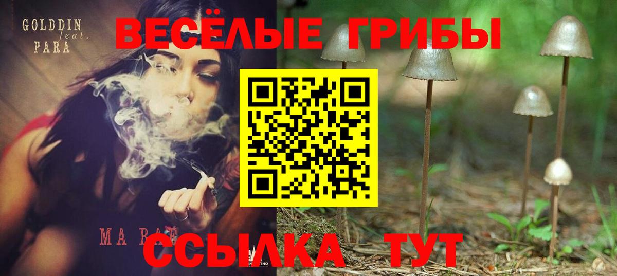 Галлюциногенные грибы прущие грибы  Галлюциногенные грибы GOLDEN TEACHER  Волоколамск  Вход с VPN 